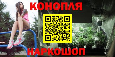 индика Ливны