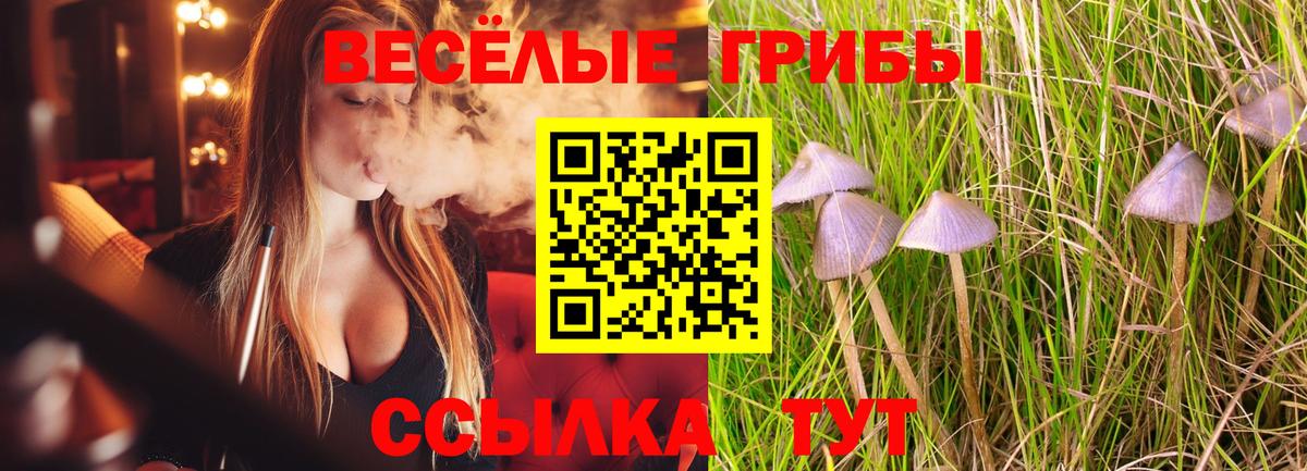 Усолье-Сибирское  Псилоцибиновые грибы Psilocybe  как найти закладки  Вход с VPN 